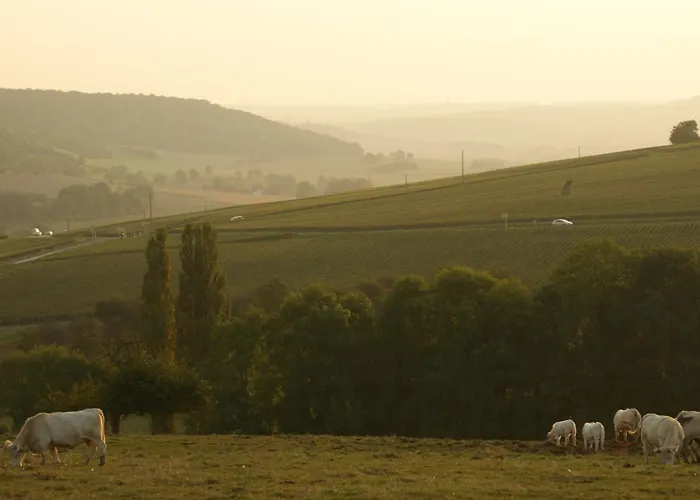 D'hotes & Champagne Douard 3* La Chapelle-Monthodon