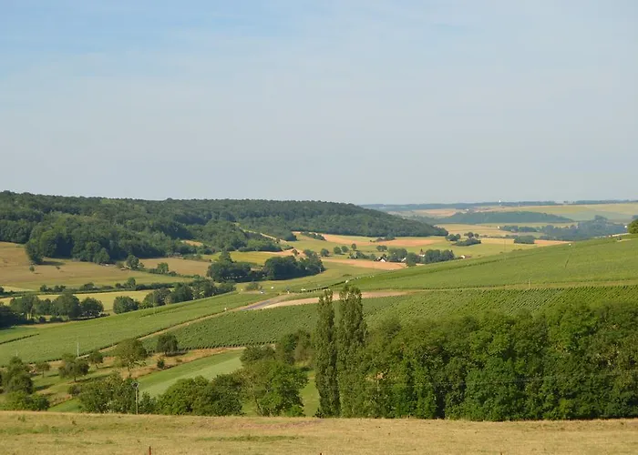 D'hotes & Champagne Douard